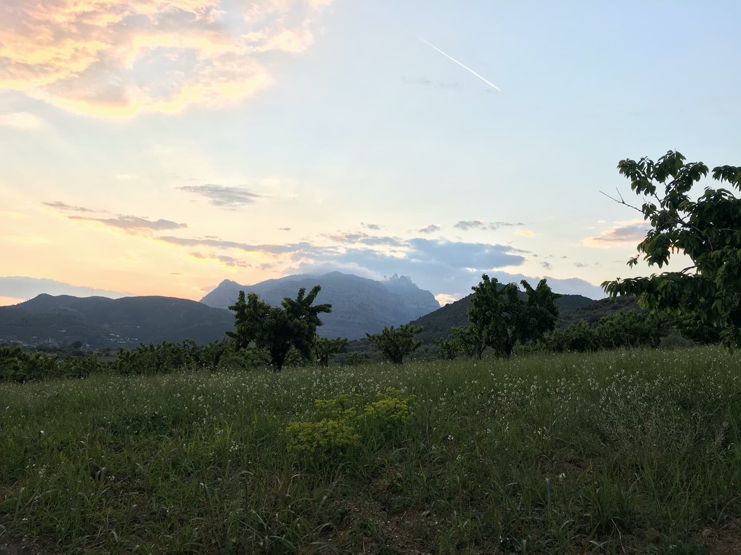 Sunset in the Montserrat plain.